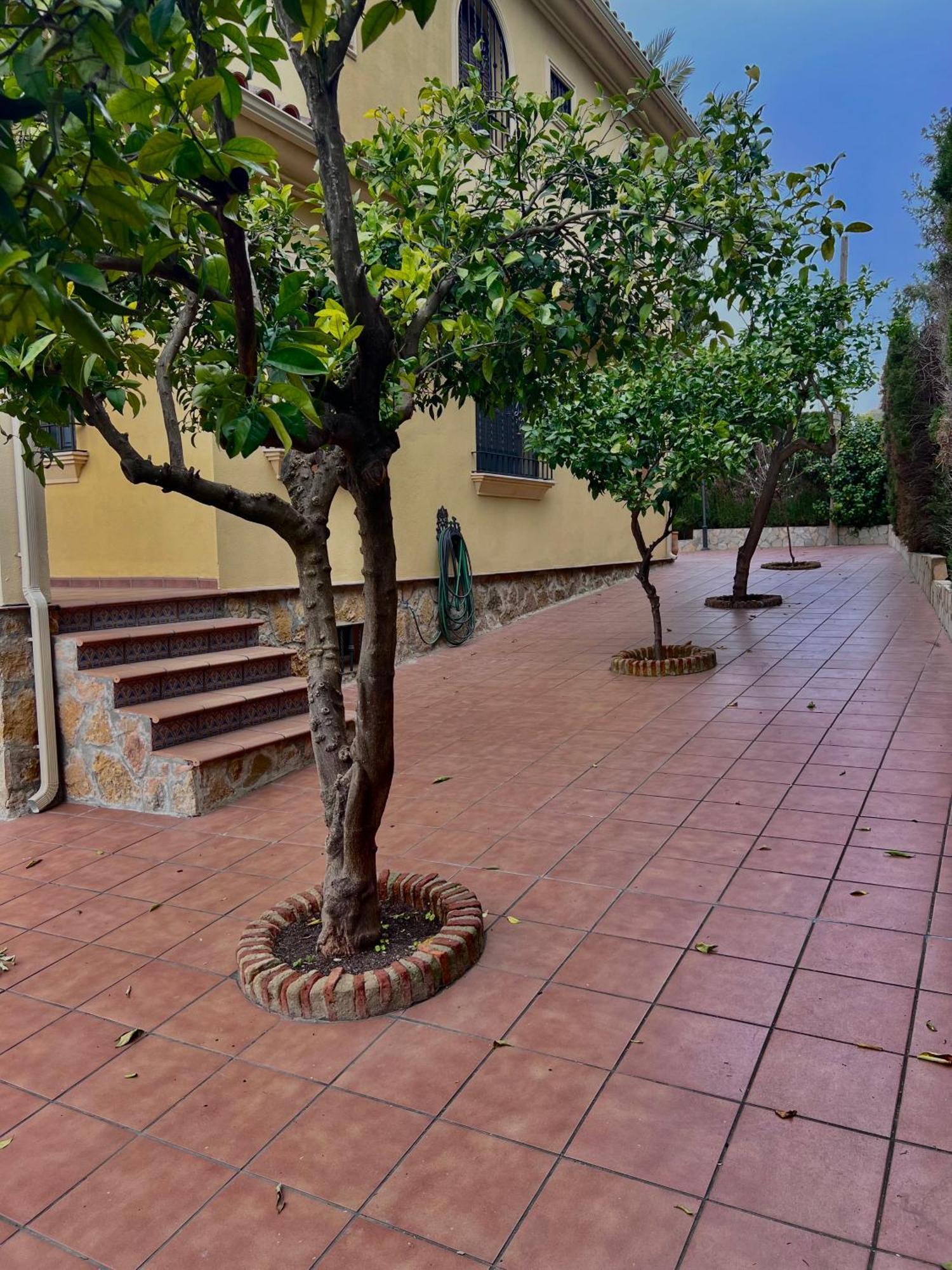 El Carmen Córdoba